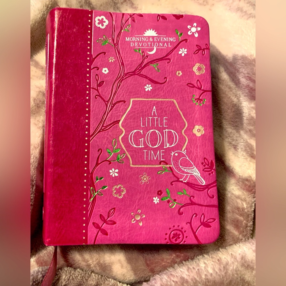 A Little God Time Morning & Evening Devotional🩷